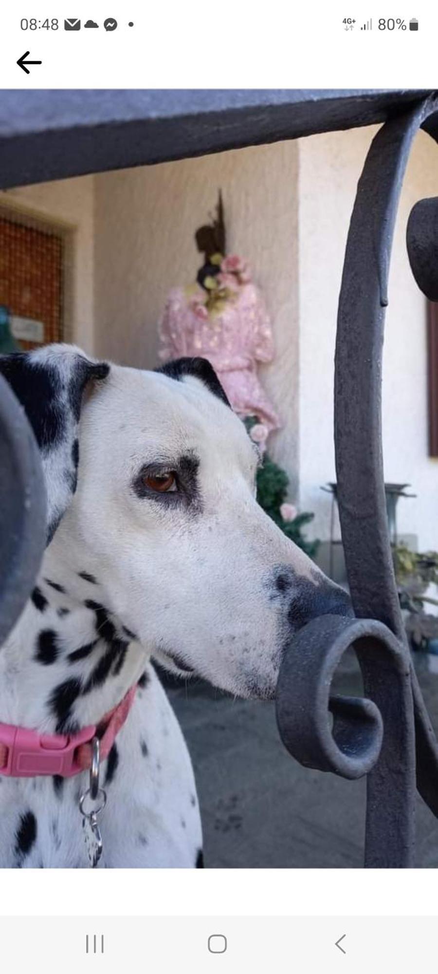 B&B La Gerbolina San Giusto Canavese Kültér fotó