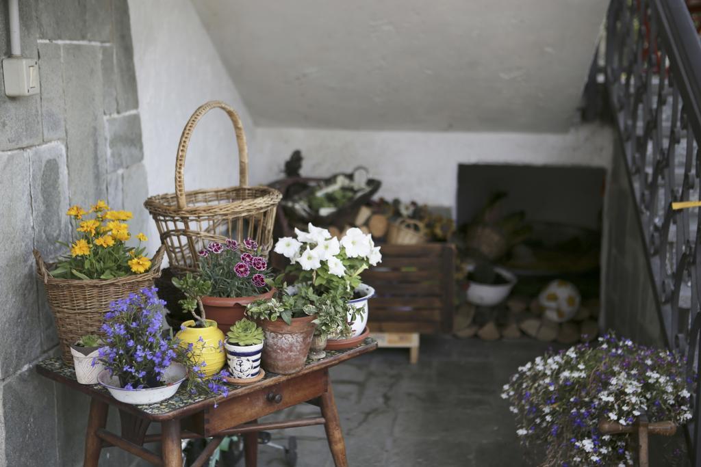 B&B La Gerbolina San Giusto Canavese Kültér fotó