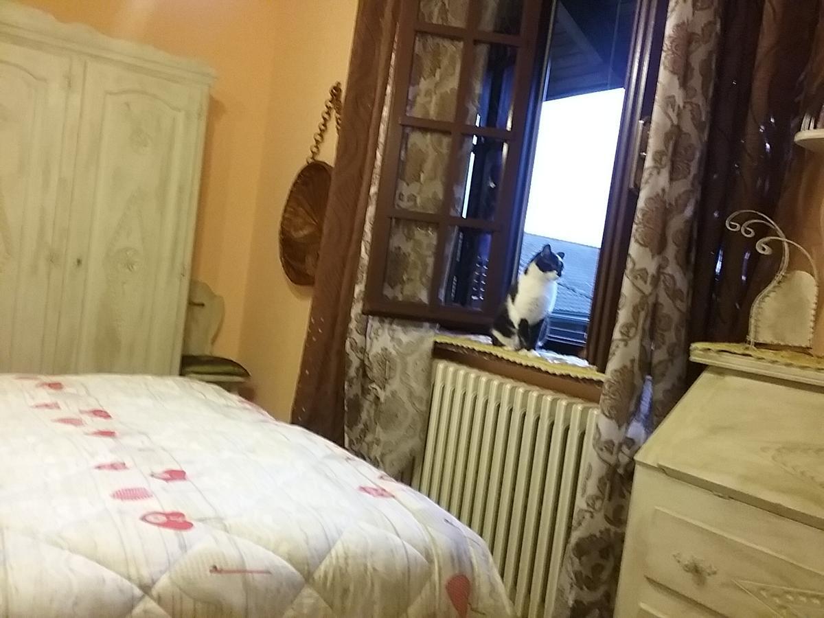 B&B La Gerbolina San Giusto Canavese Kültér fotó